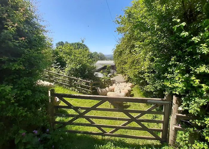 The Hen Den